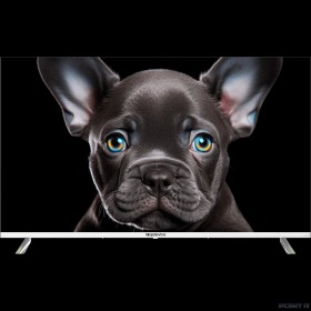 Topdevice 43&quot; TDTV43CS08U_WE/UHD/VA/Smart SalyutTV/1.5-8Gb/BT/белый
