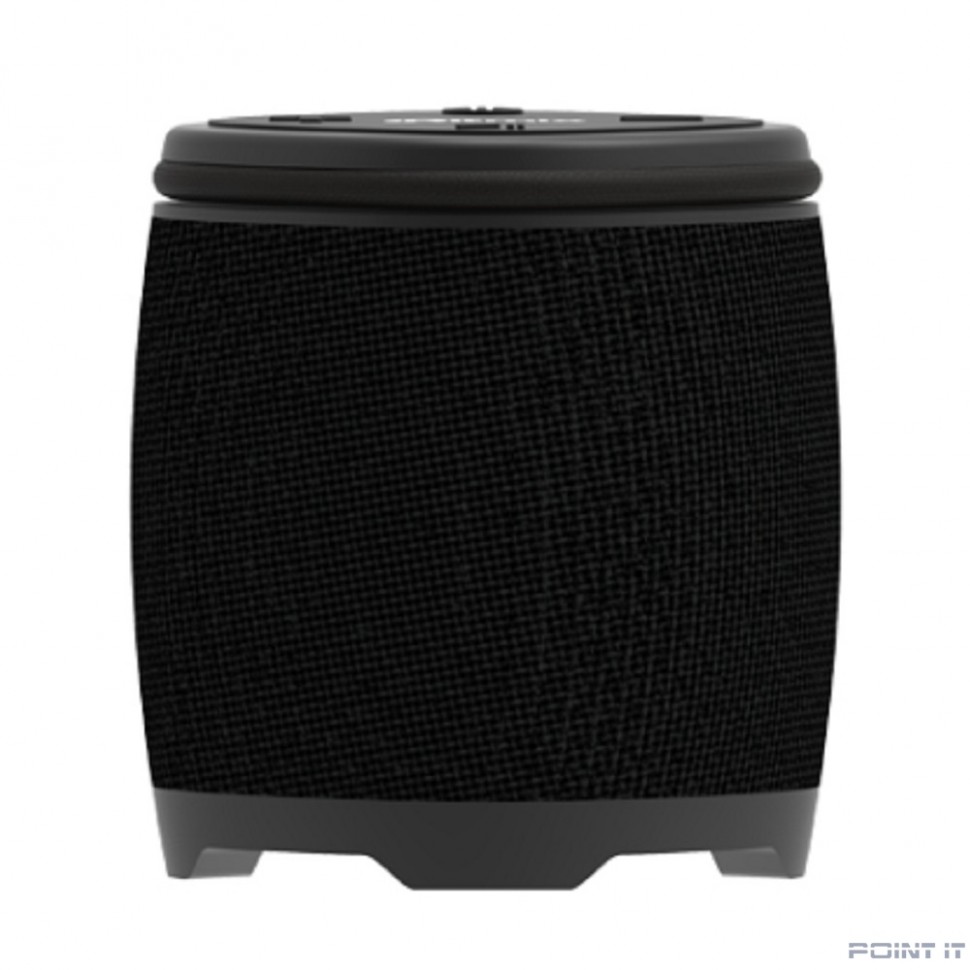 RITMIX SP-310B black